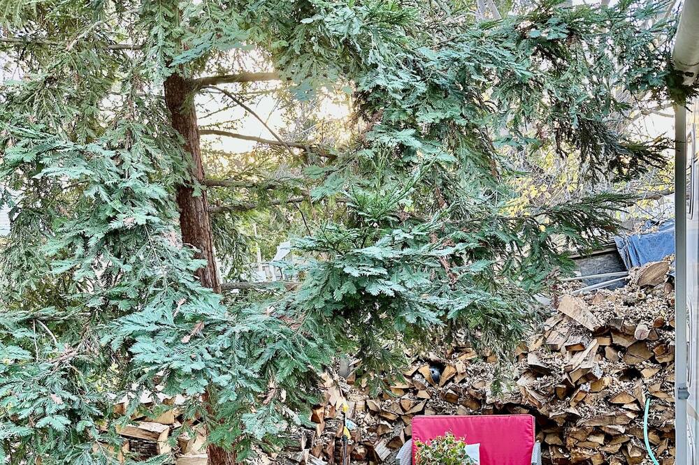 Photo of Outdoor in Lockeford