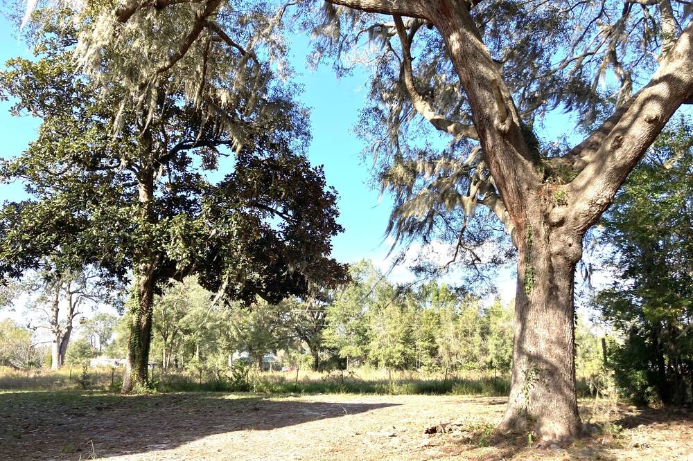 Photo of Others in Boys Ranch