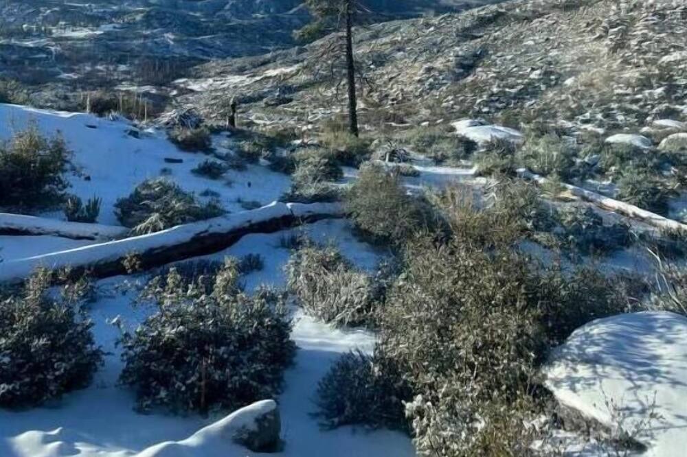 Photo of Others in Idyllwild