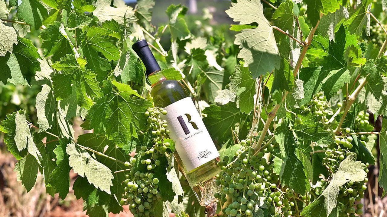 Photo of Others in Taradeau