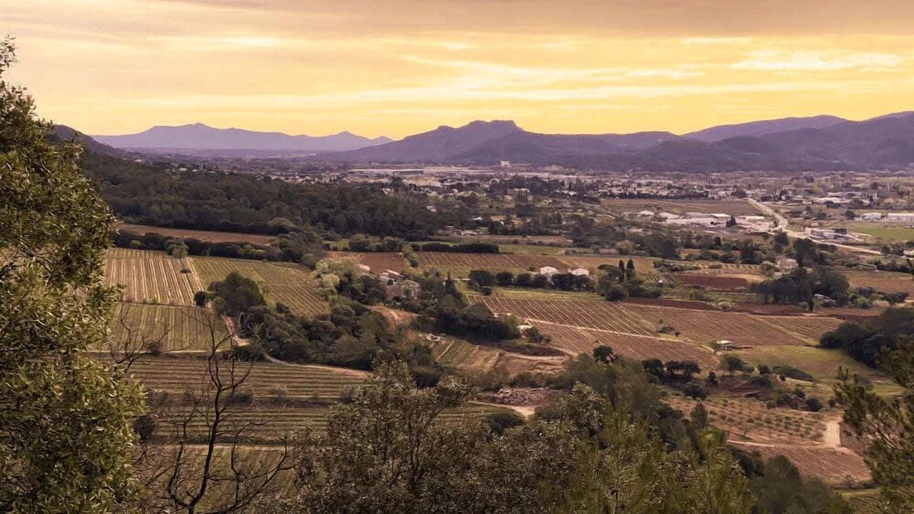 Photo of Outdoor in Taradeau