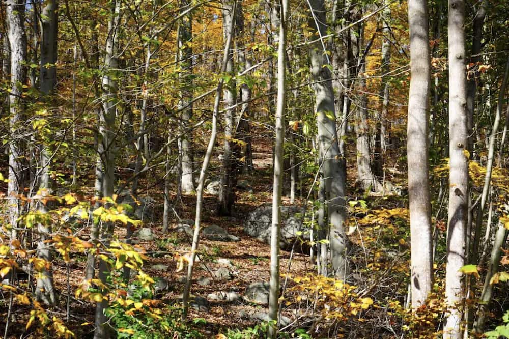 Photo of Others in Putnam Valley