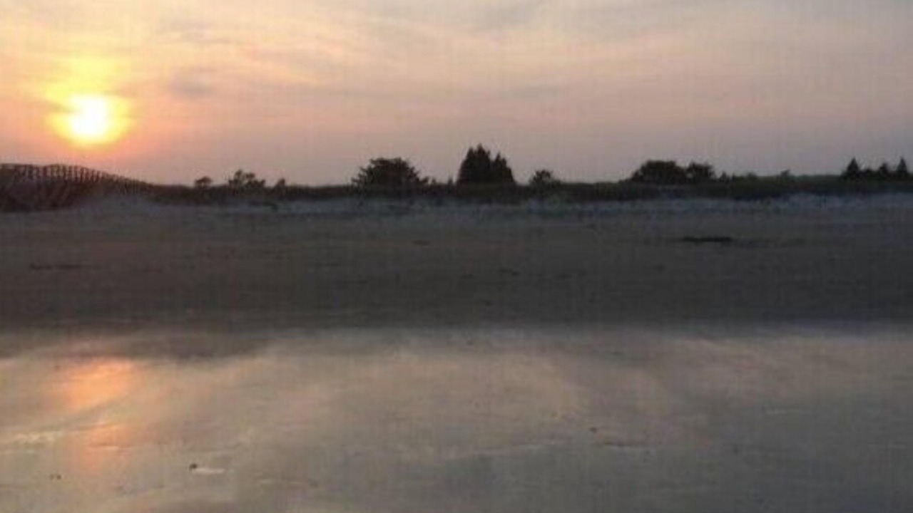 Photo of Others in Summerville Centre