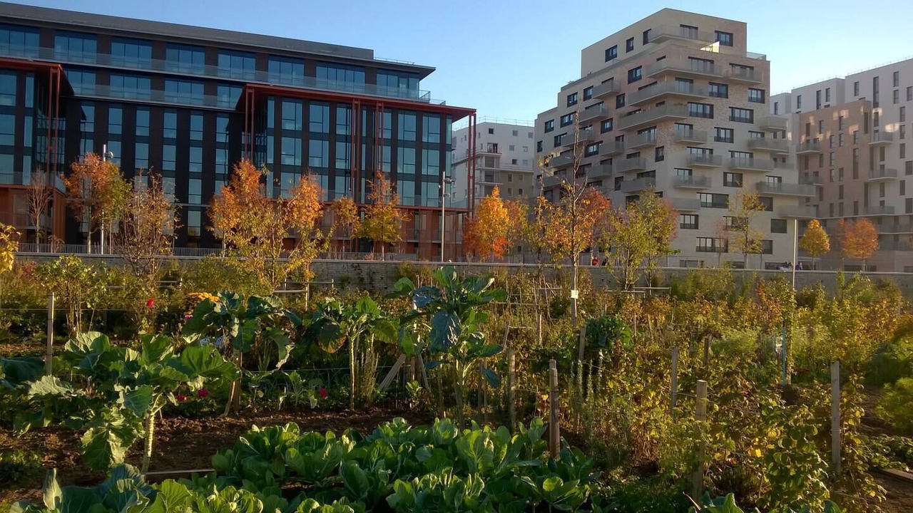 Photo of Outdoor in Zone d'amenagement concerte des Docks
