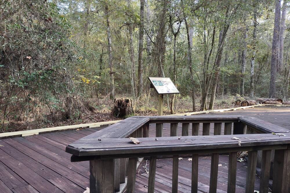 Photo of Others in West Livingston