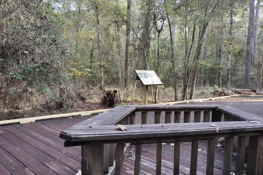 Photo of Others in West Livingston
