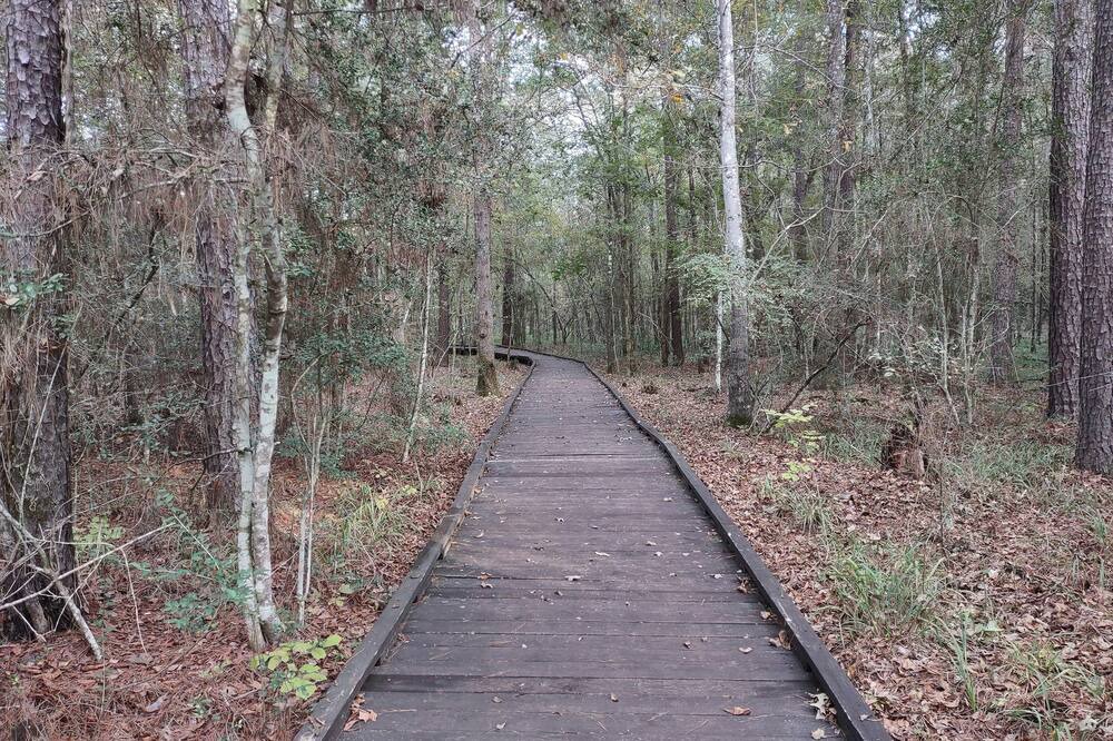 Photo of Others in West Livingston