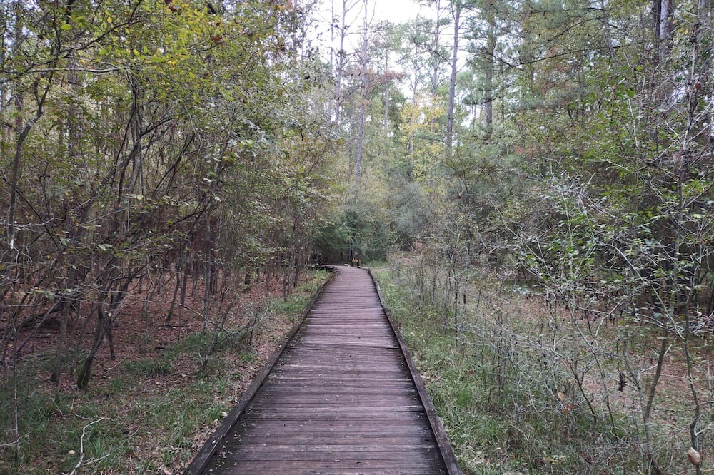 Photo of Others in West Livingston
