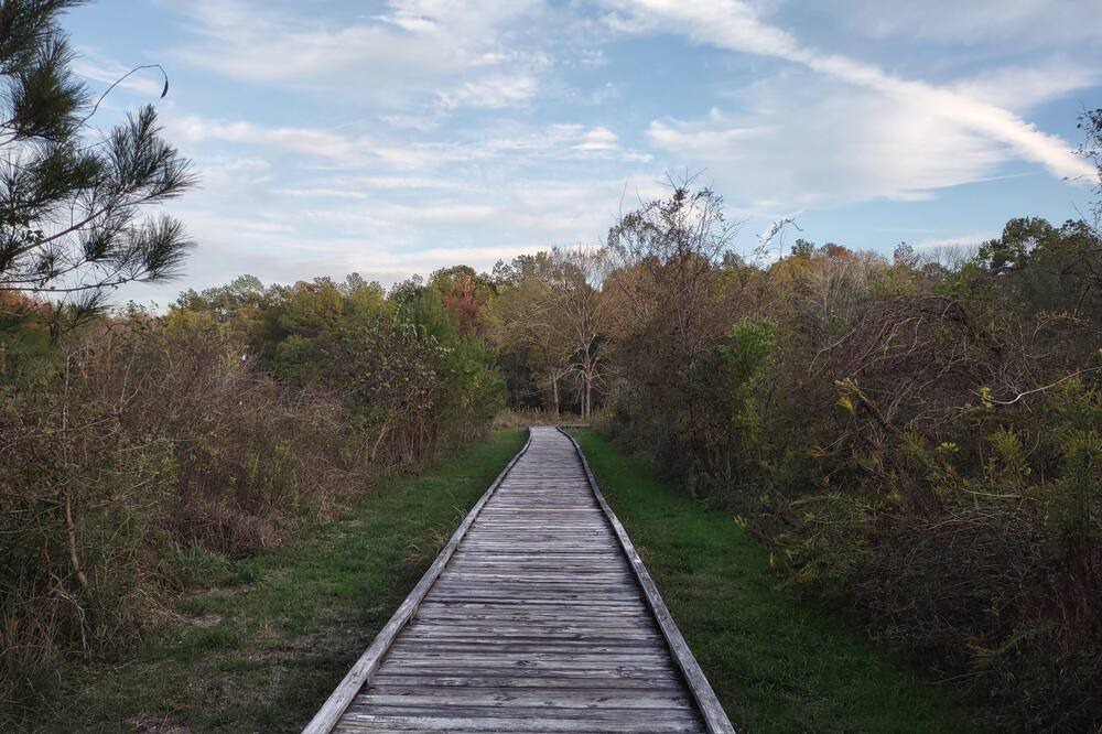 Photo of Others in West Livingston