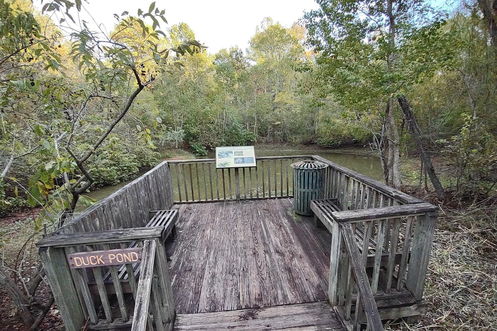 Photo of Others in West Livingston