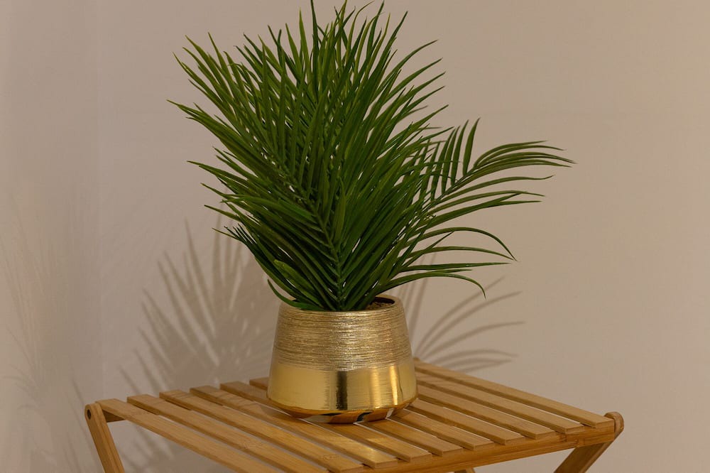 Photo of Others in Morsang-sur-Seine