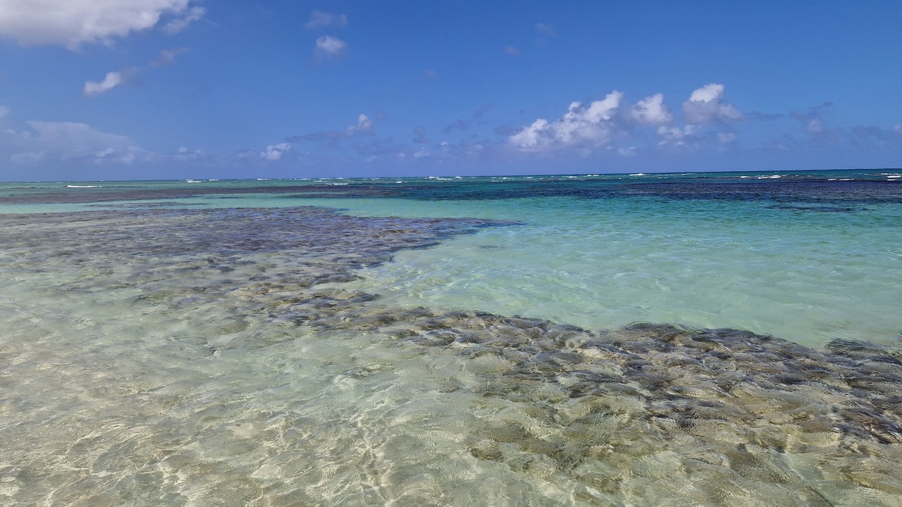 Photo of Others in Las Terrenas