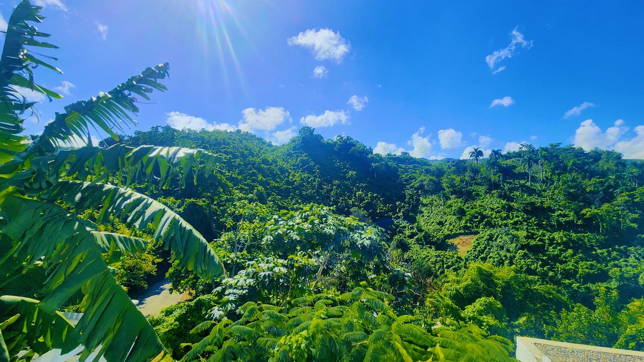 Photo of Outdoor in Las Terrenas