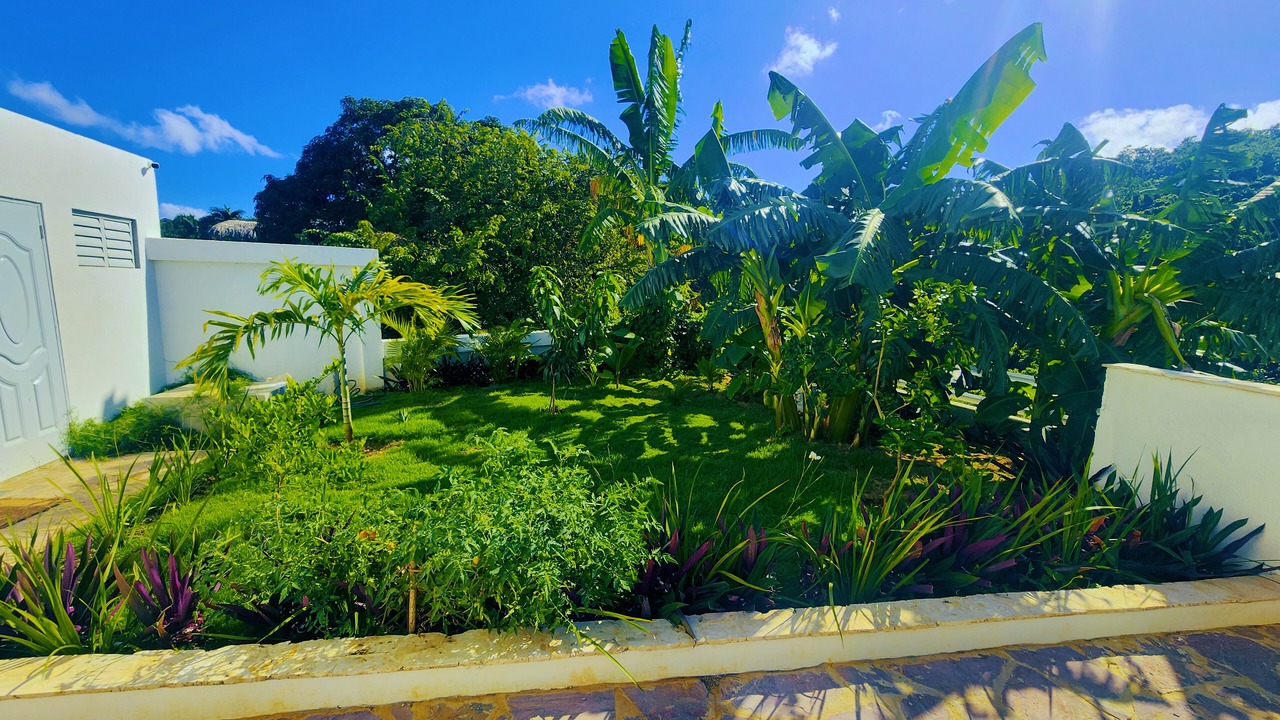 Photo of Outdoor in Las Terrenas