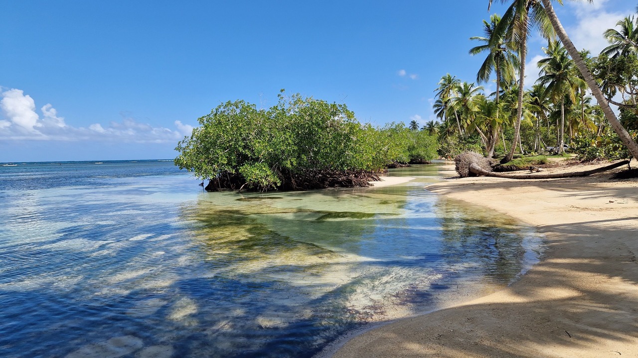 Photo of Others in Las Terrenas