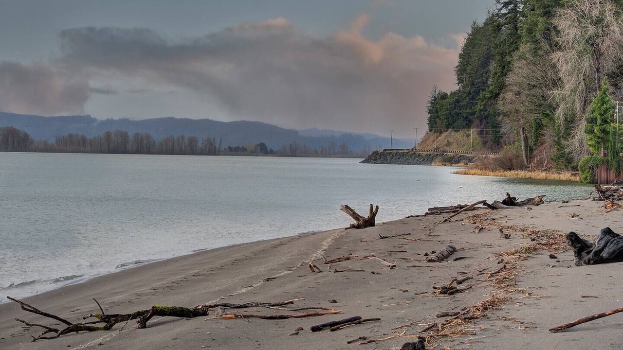 Photo of Others in Cathlamet