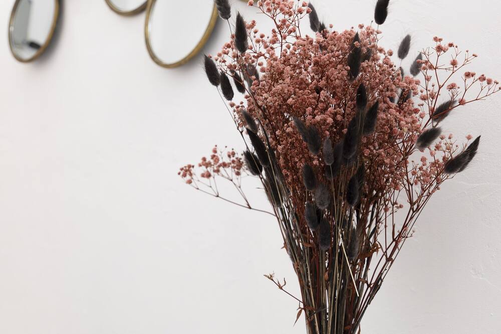 Photo of Others in Nouvelle Ville