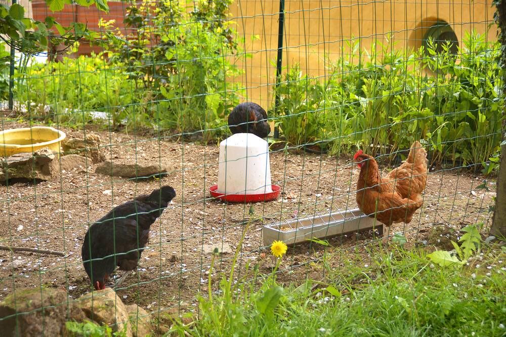 Photo of Outdoor in Quebriac