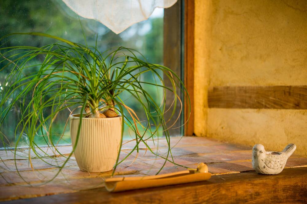 Photo of Others in Quebriac