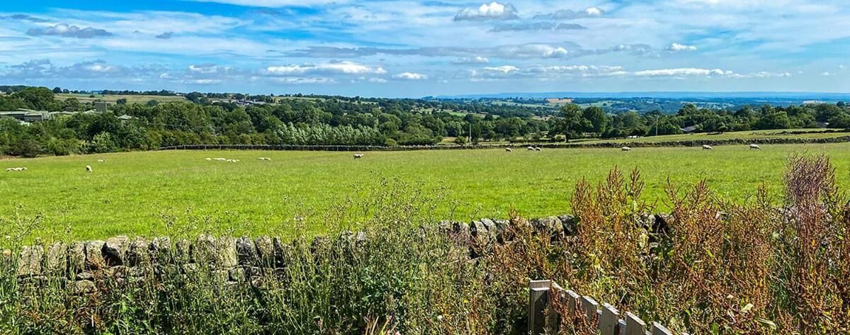 Photo of Outdoor in Ripley