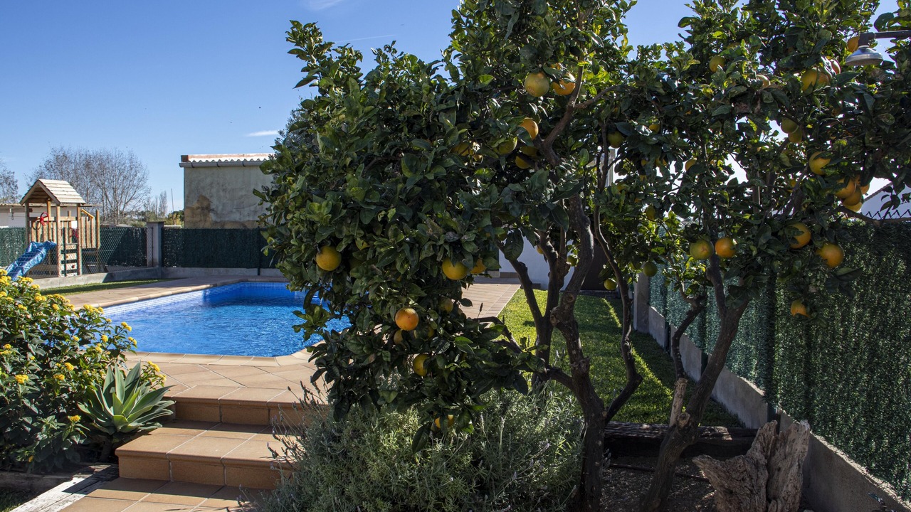 Photo of Outdoor in Sant Jaume d'Enveja