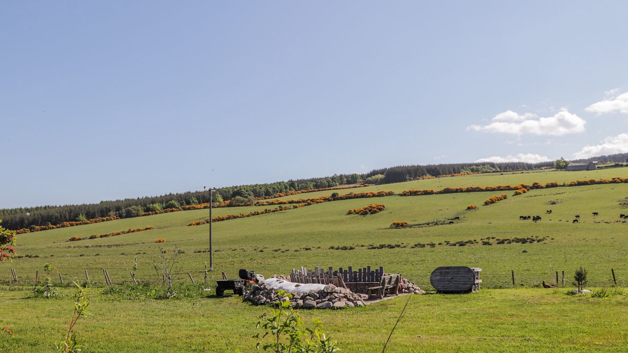 Photo of Outdoor in Forres