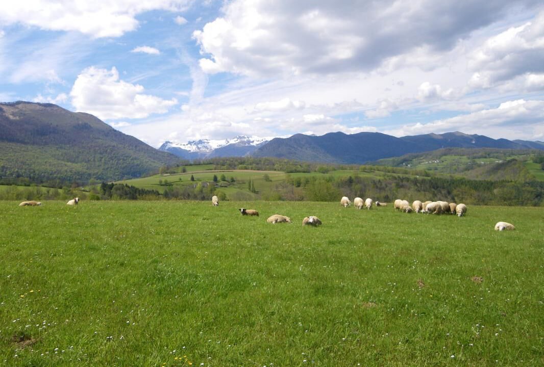 Photo of Others in Sainte-Colome