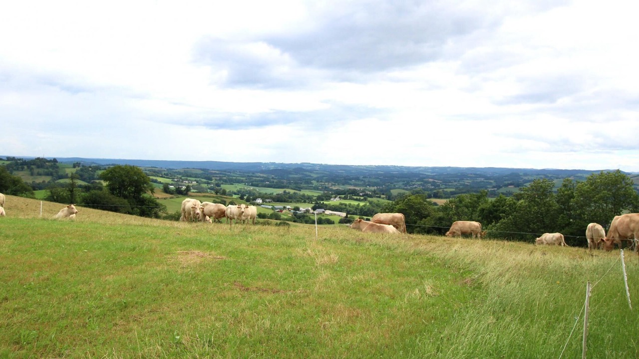 Photo of Others in Sainte-Colome