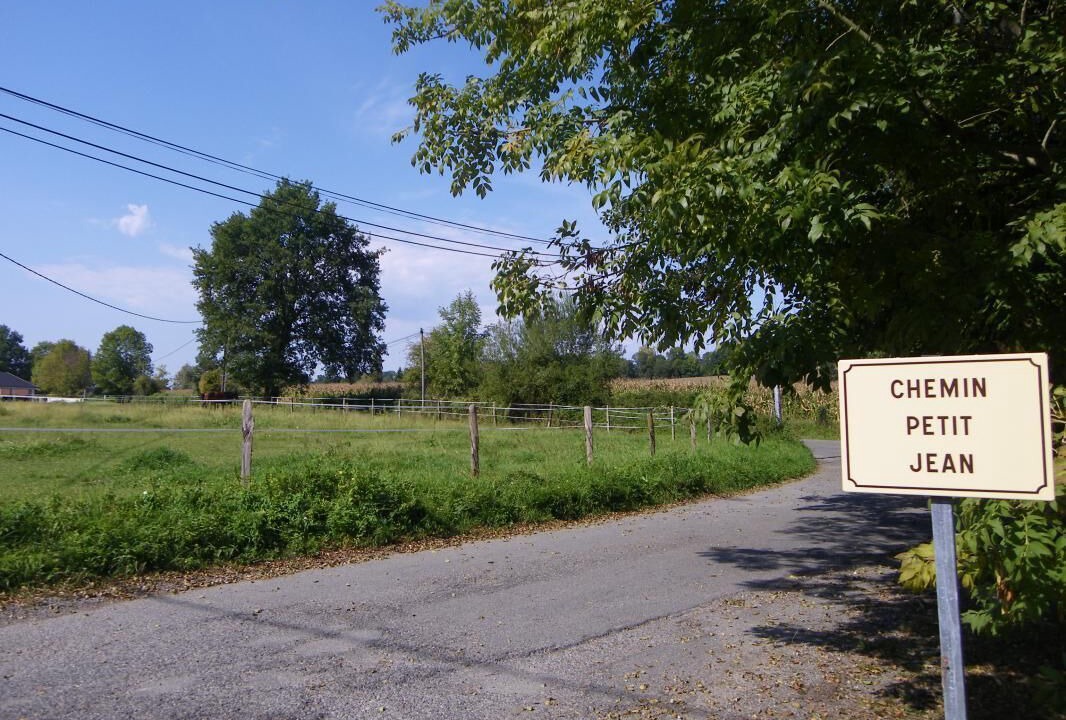 Photo of Outdoor in Buros