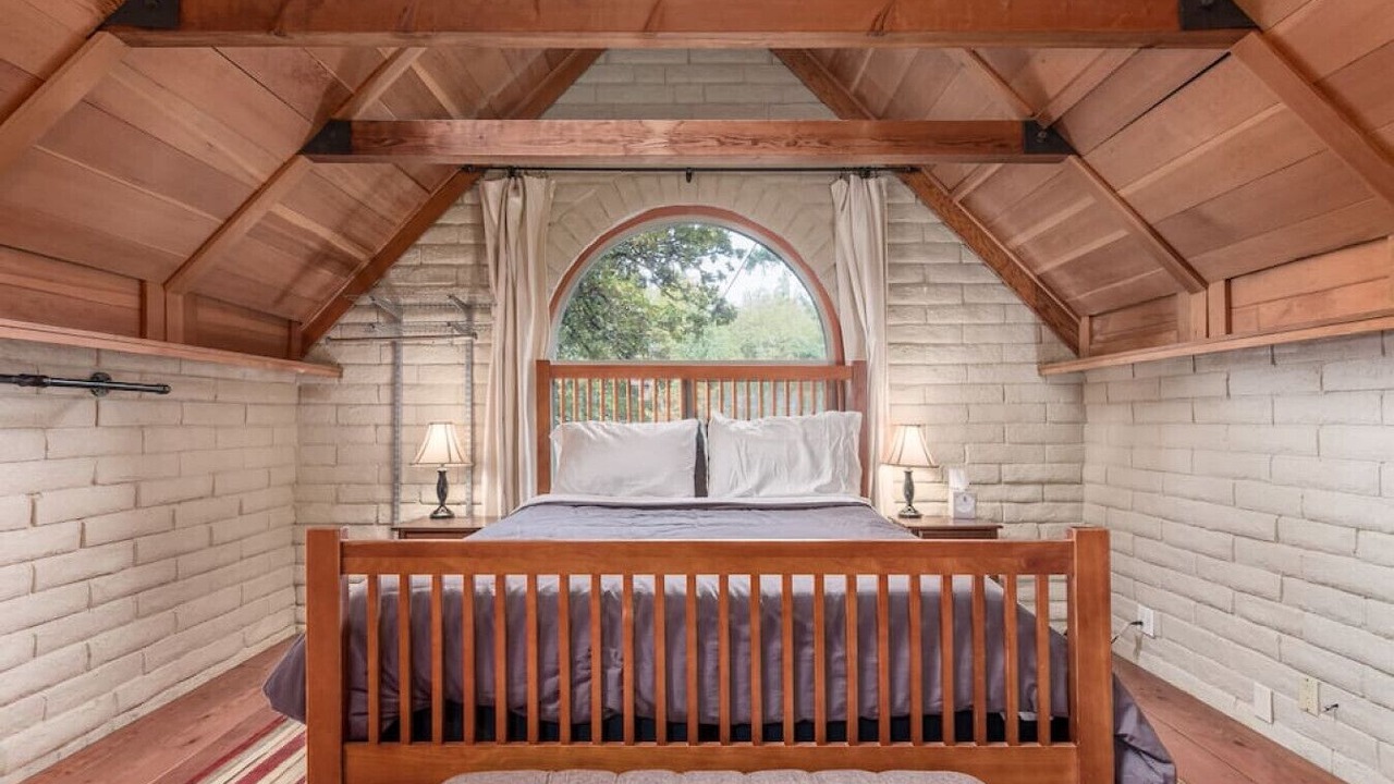 Photo of Others in Amazon