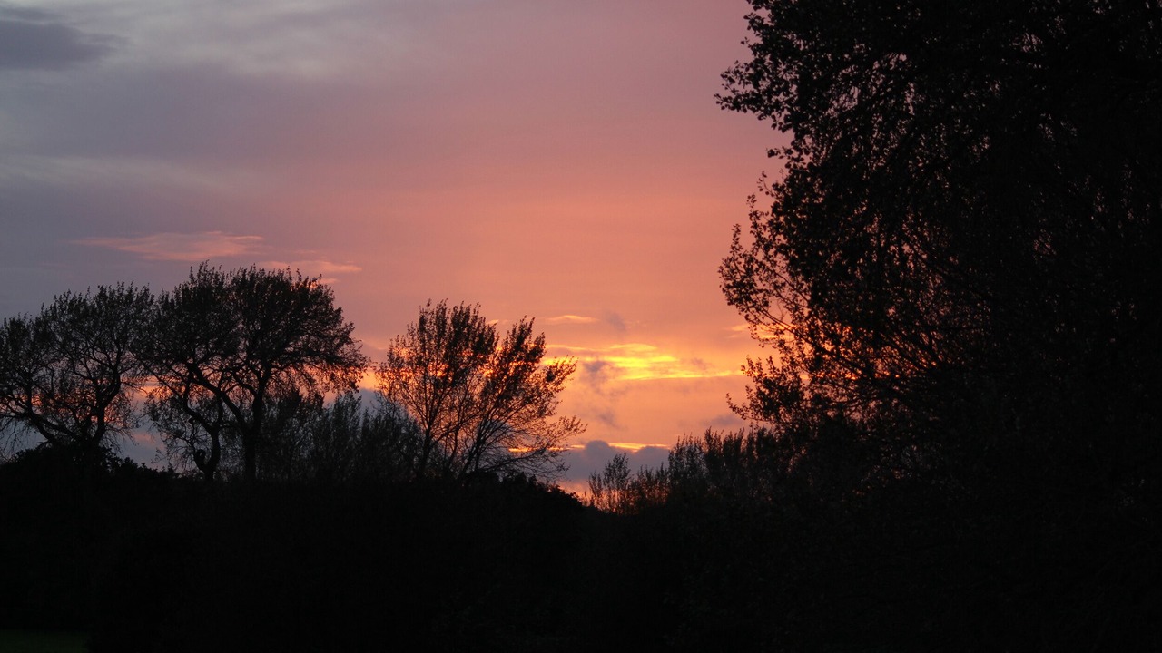 Photo of Others in Middlemarsh