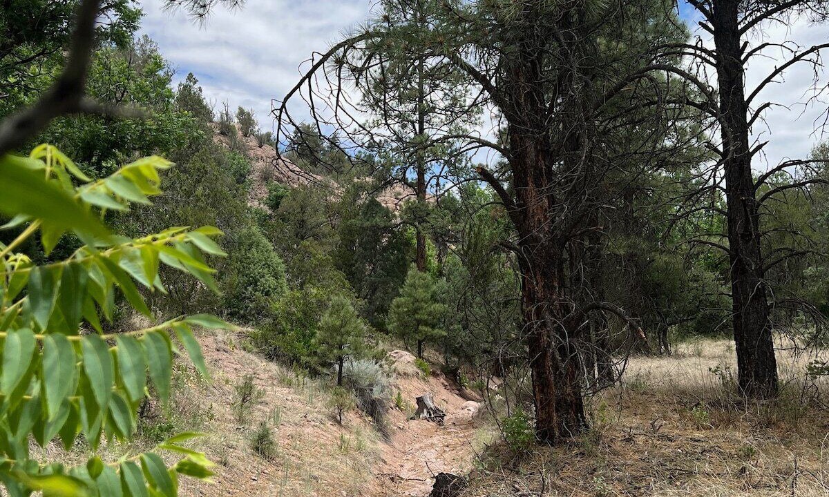 Photo of Outdoor in San Lorenzo