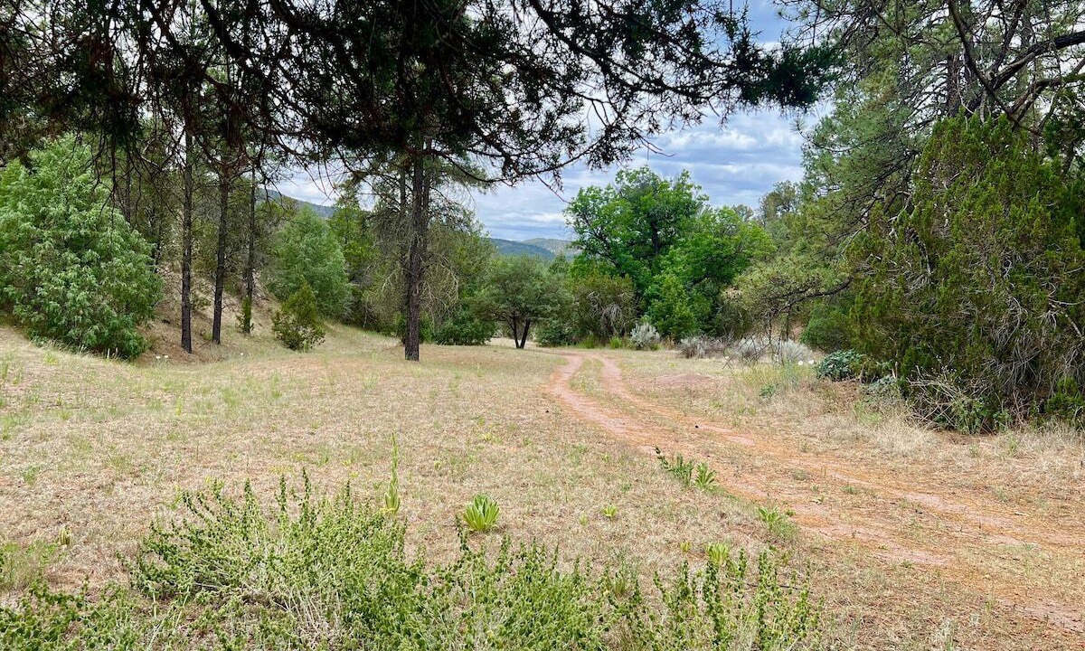 Photo of Outdoor in San Lorenzo