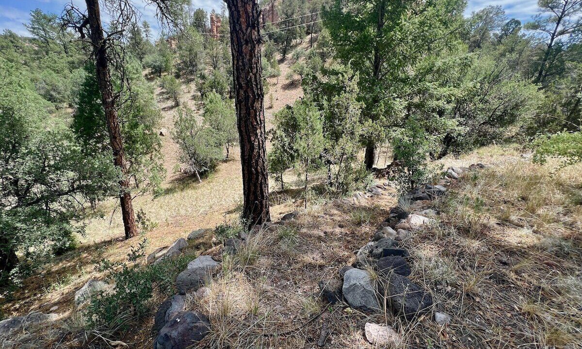 Photo of Outdoor in San Lorenzo