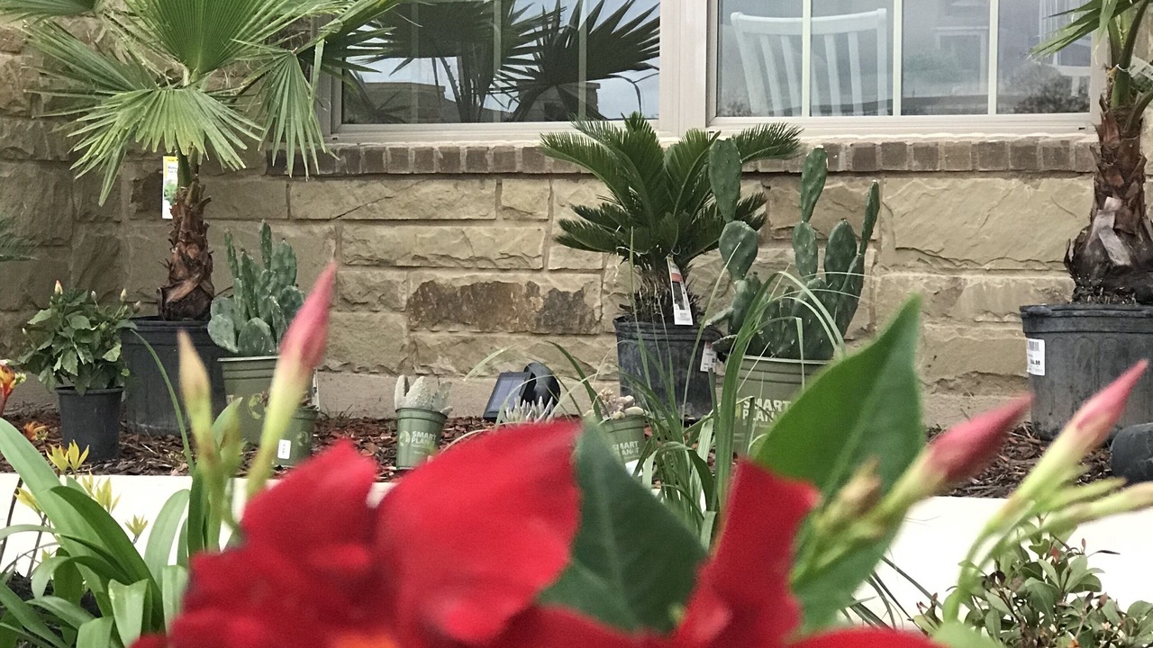 Photo of Outdoor in Del Valle