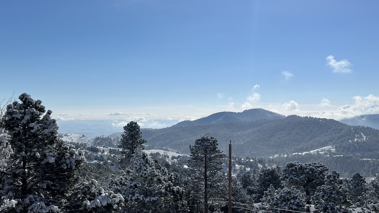 Photo of Outdoor in Golden