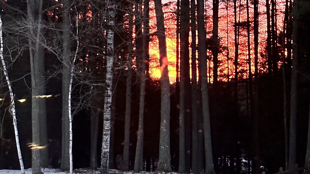 Photo of Outdoor in Long Lake