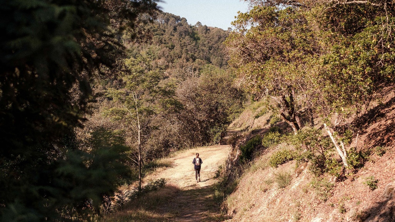 Photo of Outdoor in Thoiras