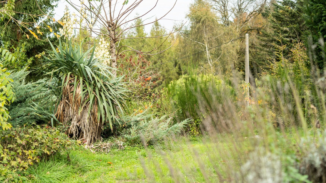 Photo of Outdoor in Bonnac-la-Cote