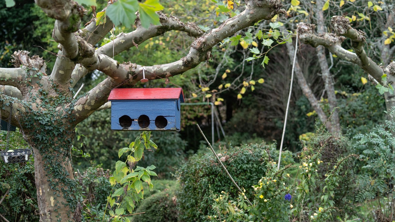 Photo of Outdoor in Bonnac-la-Cote