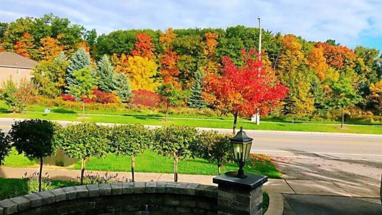 Photo of Outdoor in Richmond Hill