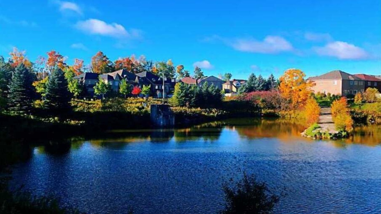 Photo of Others in Richmond Hill