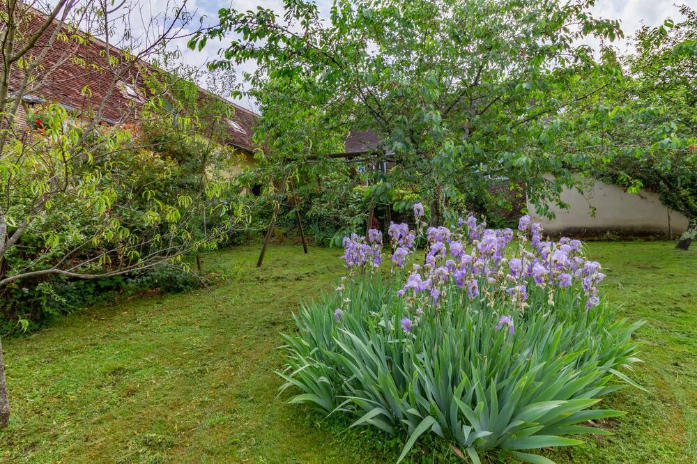 Photo of Outdoor in Jumilhac-le-Grand