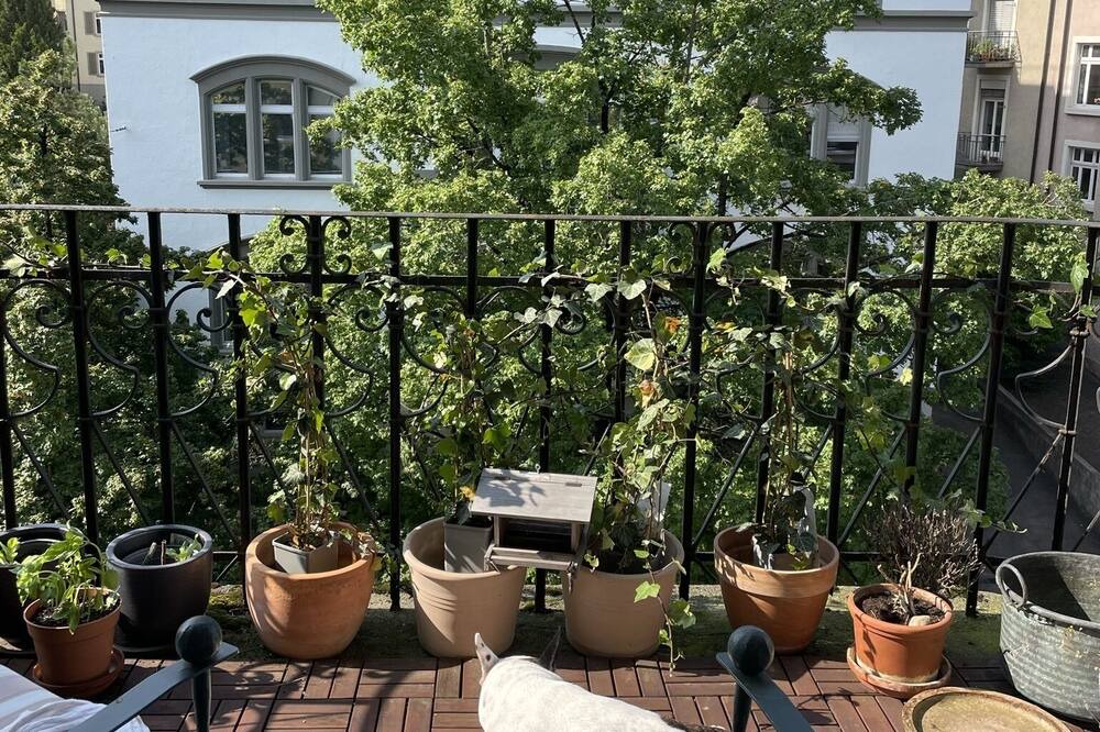 Photo of Outdoor in Oberstrass
