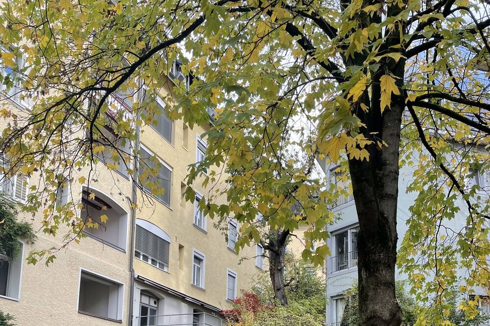 Photo of Outdoor in Oberstrass