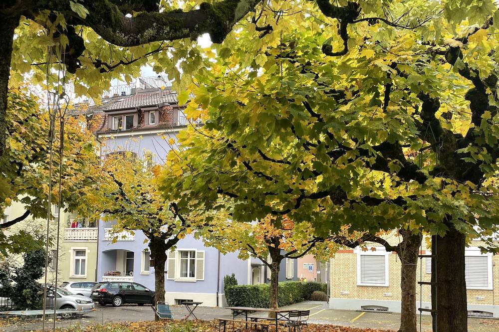 Photo of Outdoor in Oberstrass