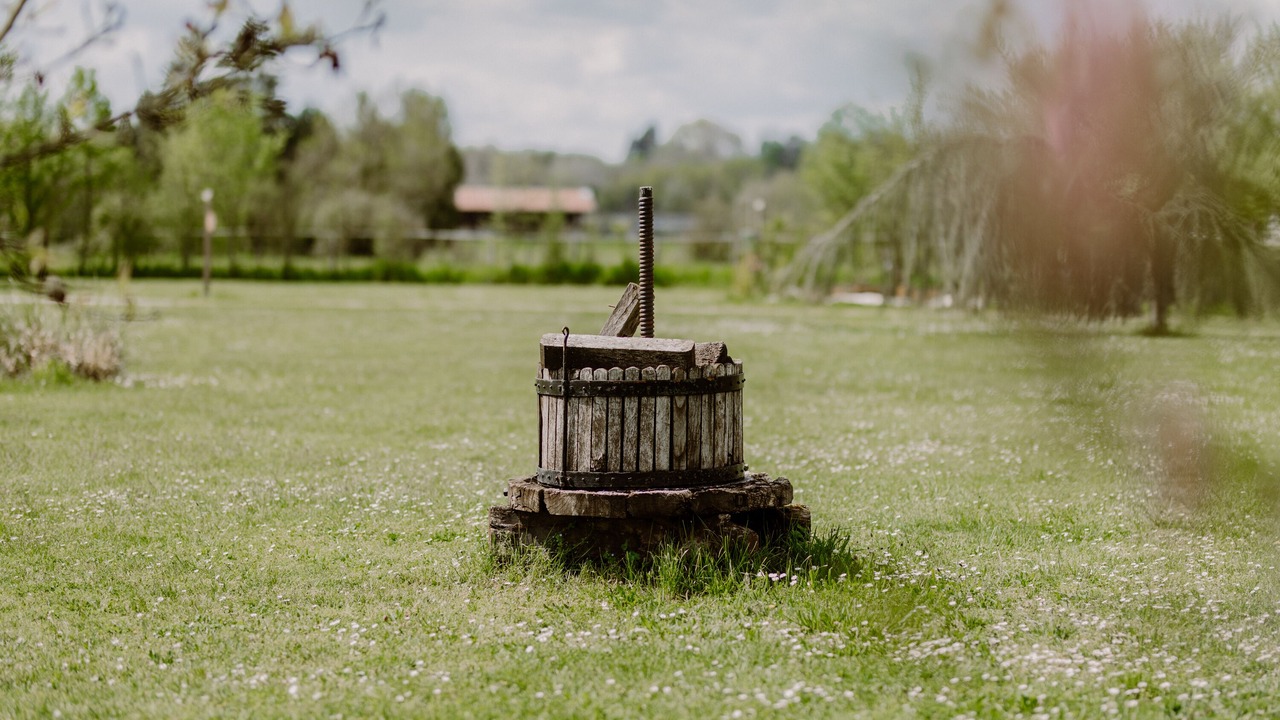 Photo of Others in Domessin