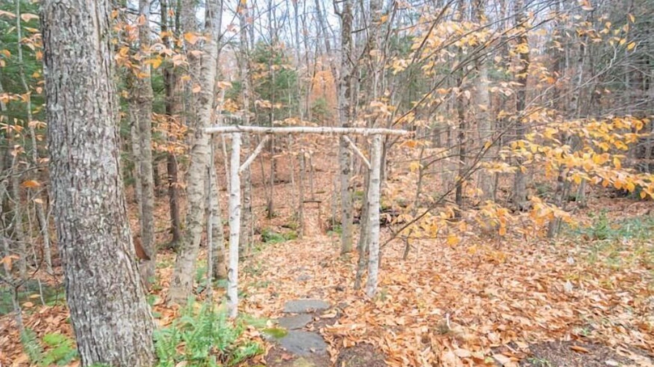 Photo of Others in West Hartford