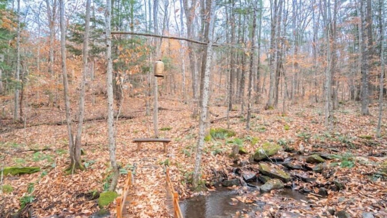 Photo of Outdoor in West Hartford