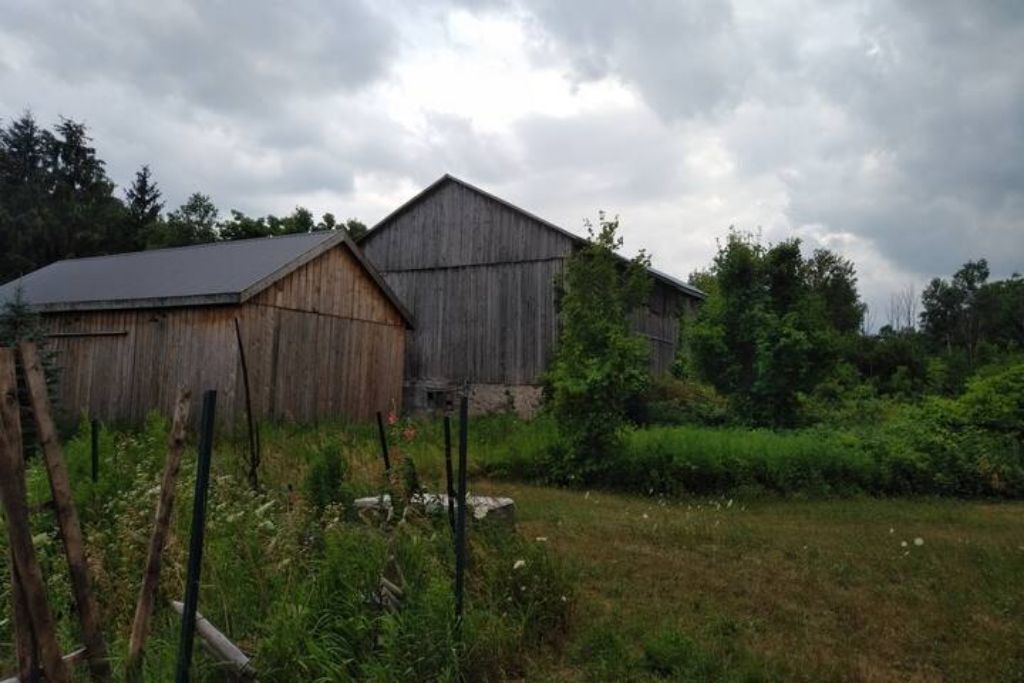 Photo of Outdoor in Puslinch